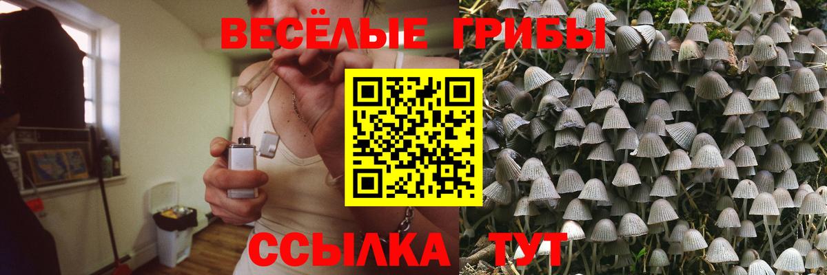 Галлюциногенные грибы Psilocybe  Вход с VPN  Галлюциногенные грибы GOLDEN TEACHER  Коряжма 
