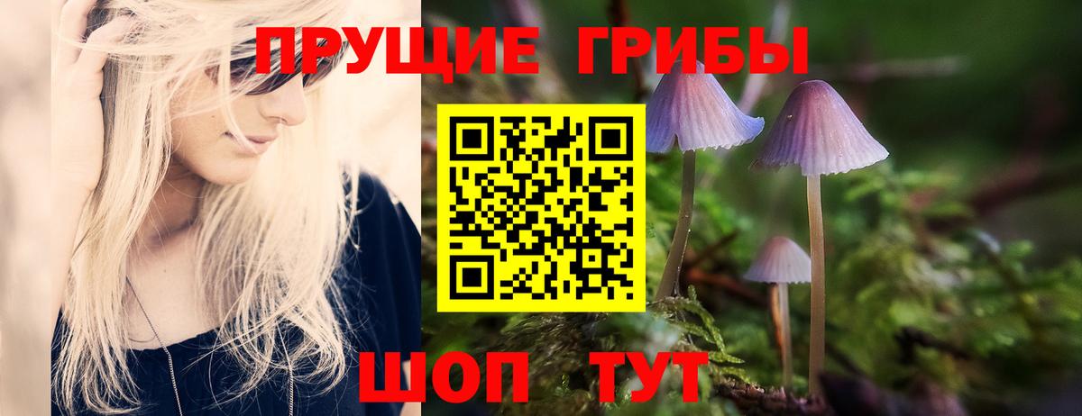 Галлюциногенные грибы MAGIC MUSHROOMS Коряжма